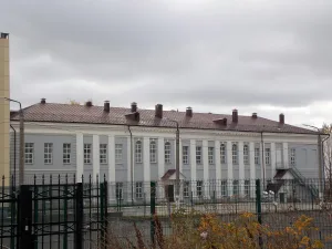 Дом Чемезова (Казань)