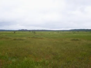 Центрально-Лесной заповедник
