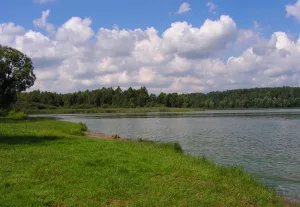 Красное