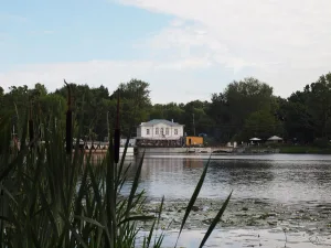 улица Старые Кузьминки 10