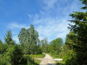 Парк с прудами (15 га) (Волковицы)