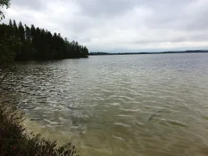 Вягозеро